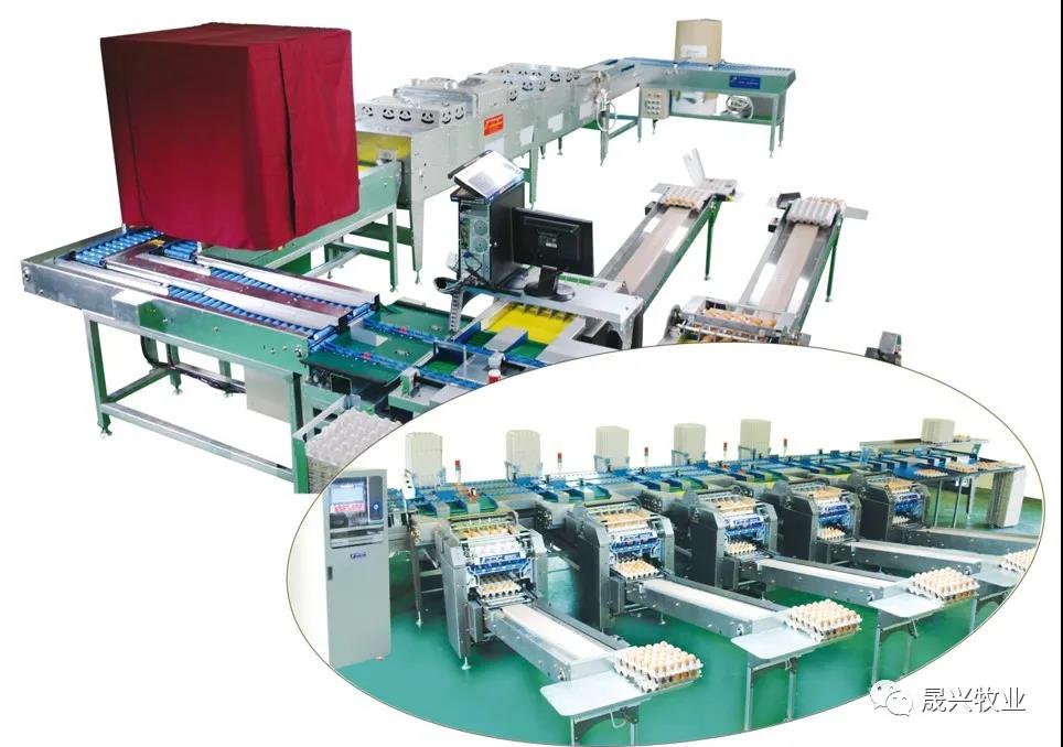 美高梅4688集团am(中国)股份有限公司